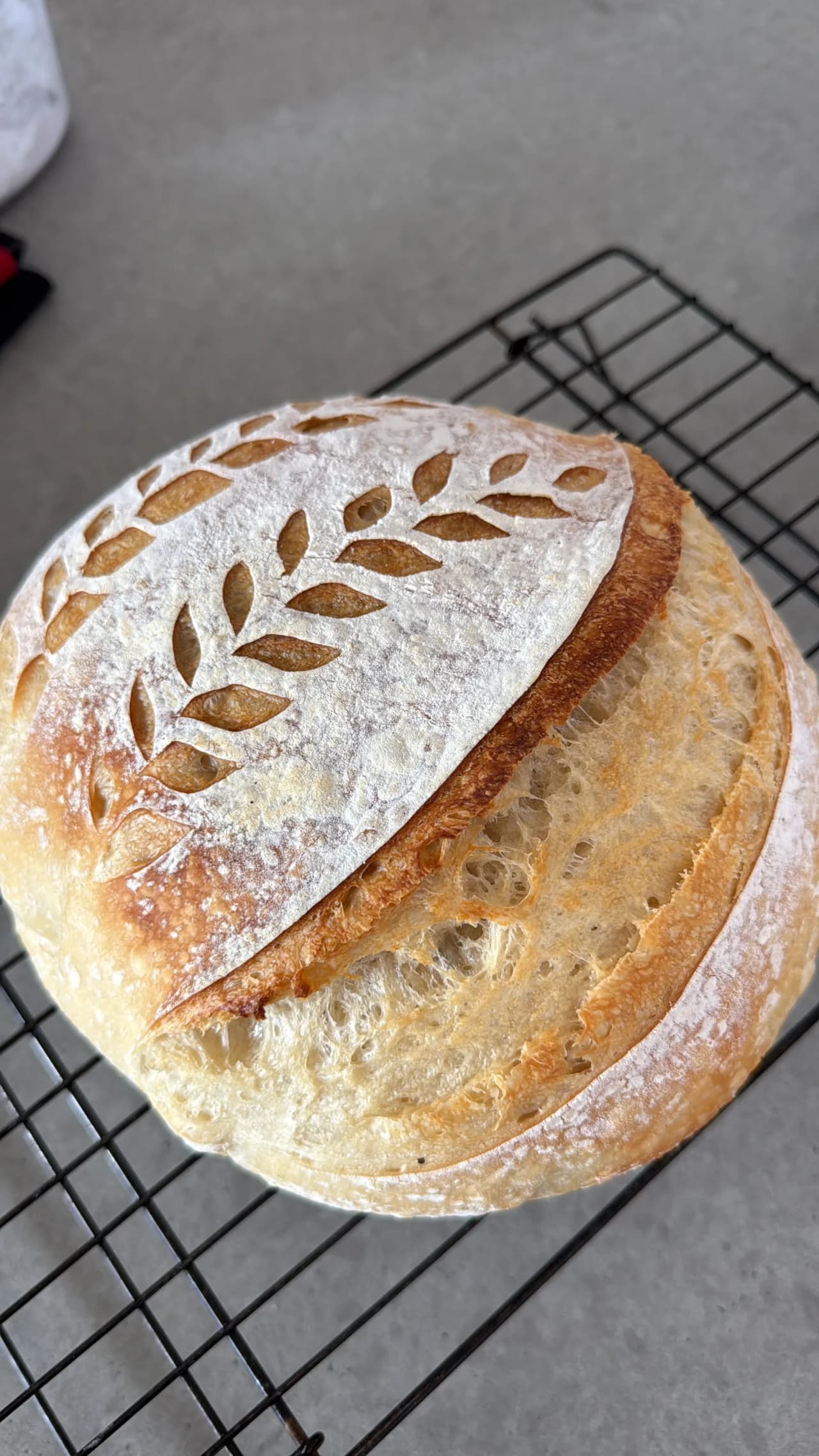 The Original Crumb